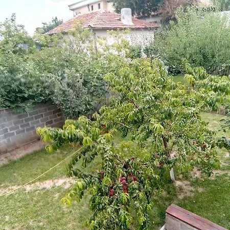 Penzion Alfa With Parking 3*