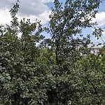 Alfa With Parking Guest house Varna