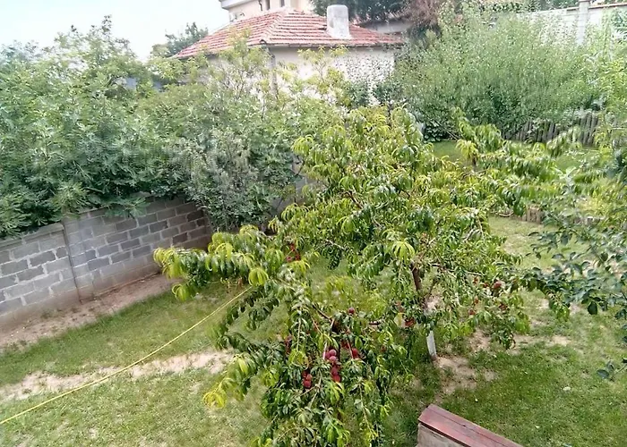 Гостевой дом Alfa With Parking 3*