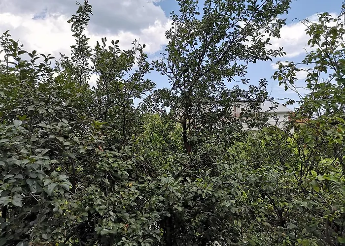 Alfa With Parking بيت ضيافة فارنا